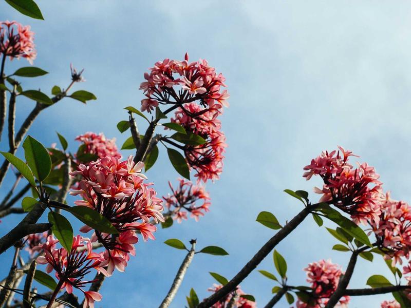 Canon EOS R6 ja 24-105mm f4 - 3