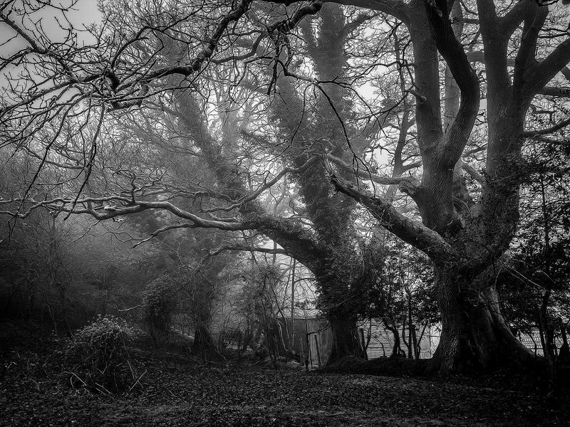 Vintage nahkdiivan 3-kohaline - 2