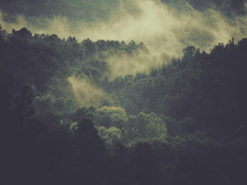 Samsung 55 OLED 4K teler - 2