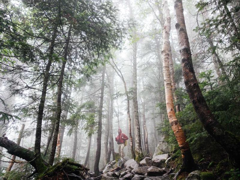 Andrus Kivirahk Mees kes teadis ussisonu