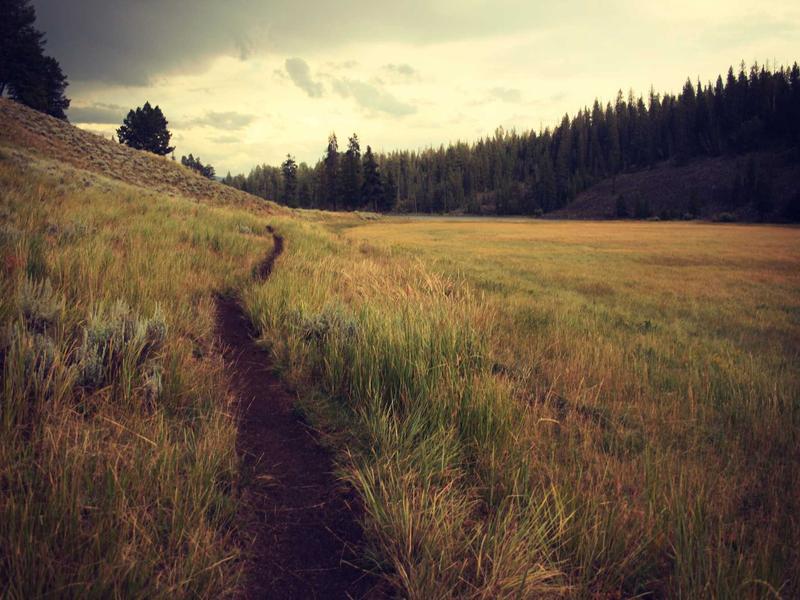 Yamaha P-125 digitaalne klaver + statiiv